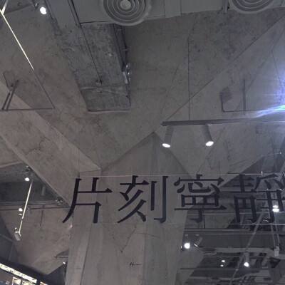 萌鸡敢死队内购破解版下载