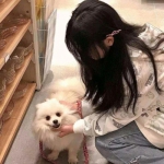 血饮传奇游戏下载